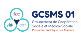 GCSMS 01